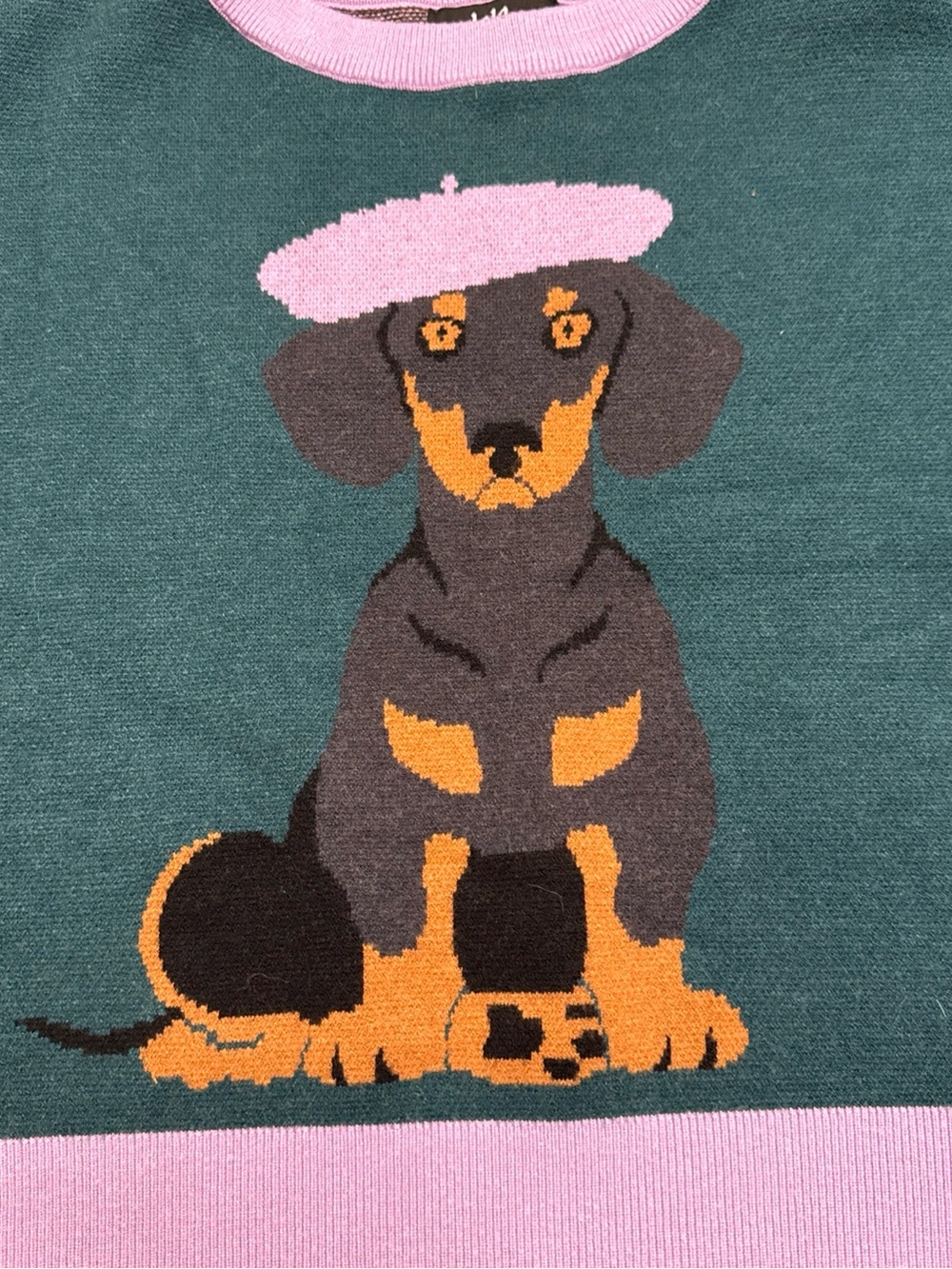 Dressed in LALA Teal Crewneck Sweater with Pink Trim & Dachshund Graphic - Picture 3 of 12